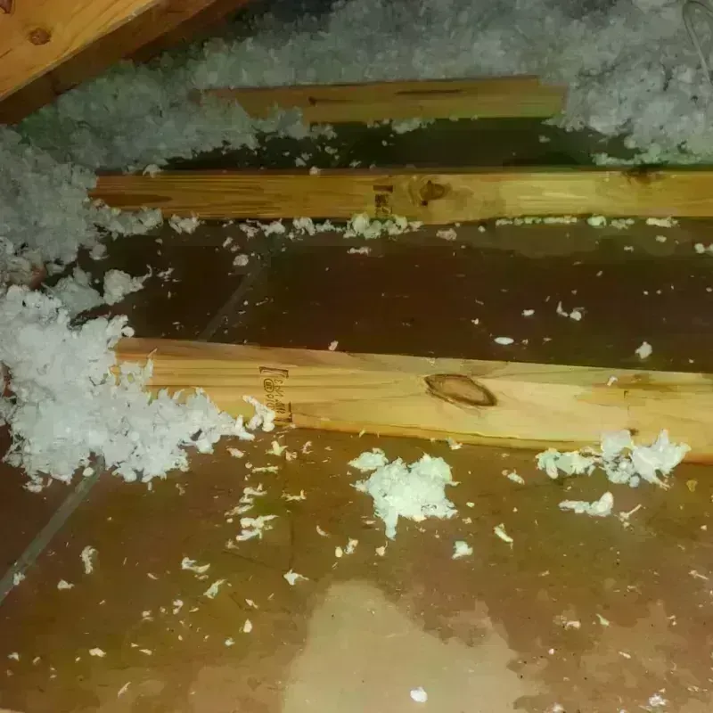 Attic Water Damage in McDonough County, IL