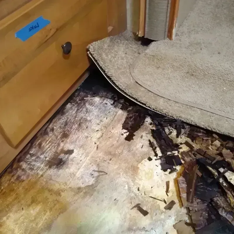 Wood Floor Water Damage in McDonough County, IL